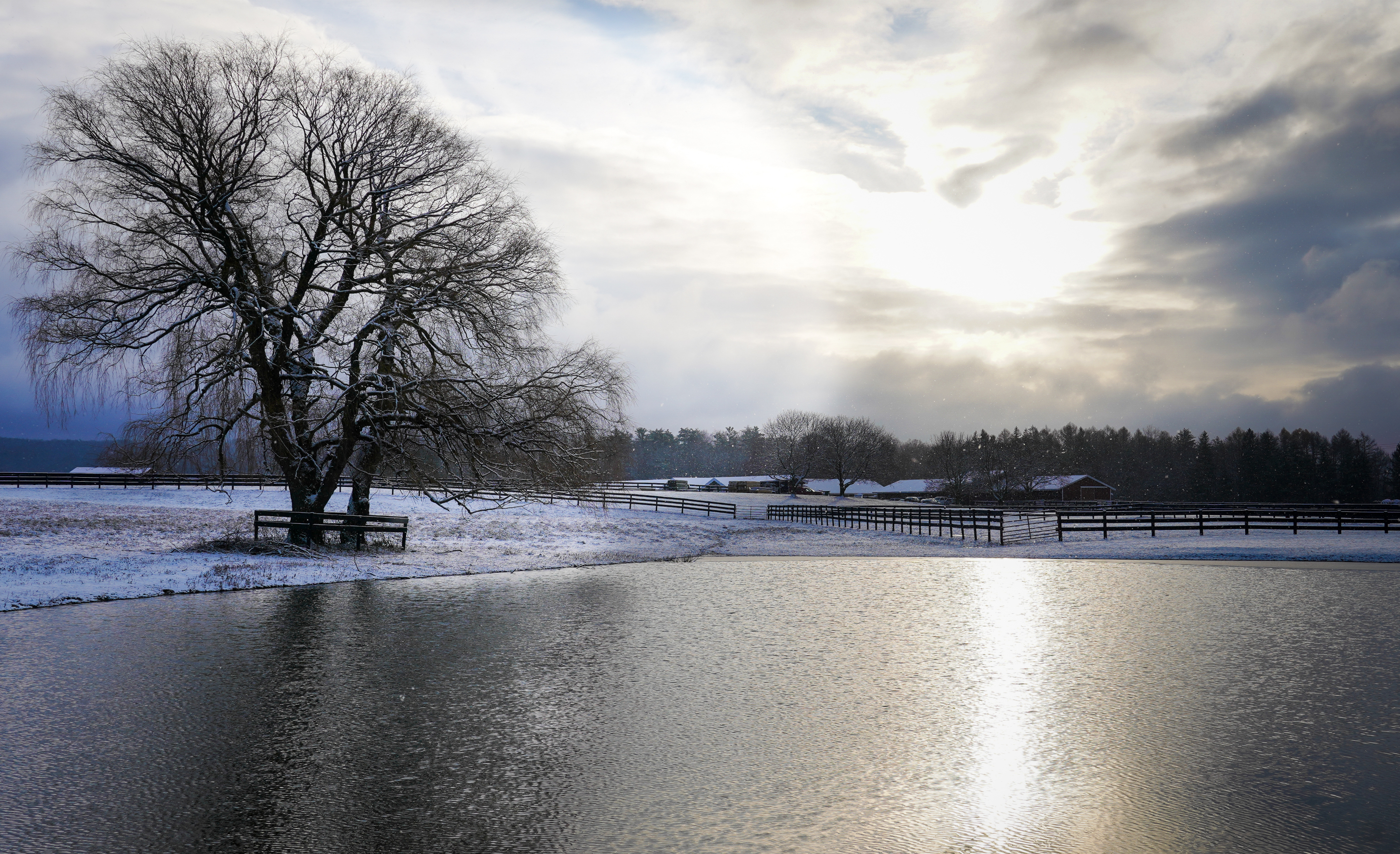 Equine park in winter