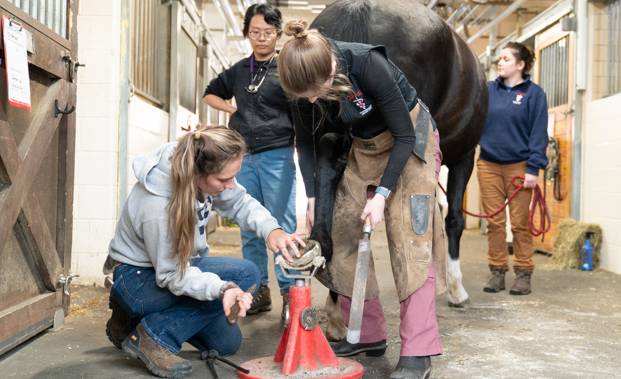 Students with a farrier