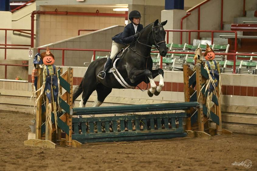 Show horse recovers after canker treatment | Cornell Equine | Cornell ...